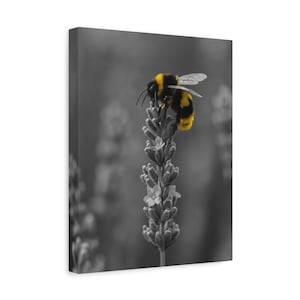Arte de parede de abelha em lavanda – pôster minimalista de fotografia da natureza, estampa de inseto amarelo e preto, decoração floral temperamental para espaços modernos, Soar3
