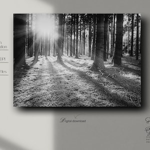 Impression de photographies de forêt en noir et blanc : art mural minimaliste de forêt (téléchargement PDF)