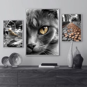 Set of 3 Printable Animal & Nature Wall Art – Cat Portrait, Bird by Water, Autumn Leaves Photography for Modern Decor, Intense