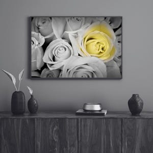 Yellow Rose Black and White Wall Art, Unique Floral Minimalist Poster, Contrast Flower Photography for Modern Gallery Wall, Fine