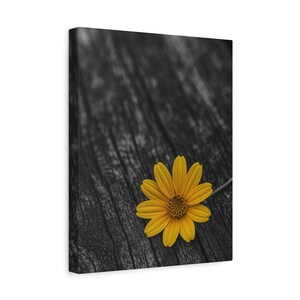 Gelbes Gänseblümchen auf Holz Wandkunst - Minimalistisches Blumen Fotografie Poster,Stimmungs Natur Druck für Moderne Wohnkultur,Symbolische Botanische Kunst,SoarTwo