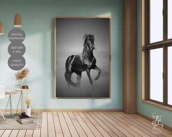 Black Horse kunst aan de muur – monochrome dierenfotografie, hippische kunstprint, minimalistische digitale download
