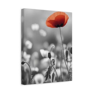 Arte de parede com flor de papoula vermelha – Impressão da natureza em preto e branco com detalhes coloridos – Pôster botânico minimalista – Belas artes em cores seletivas