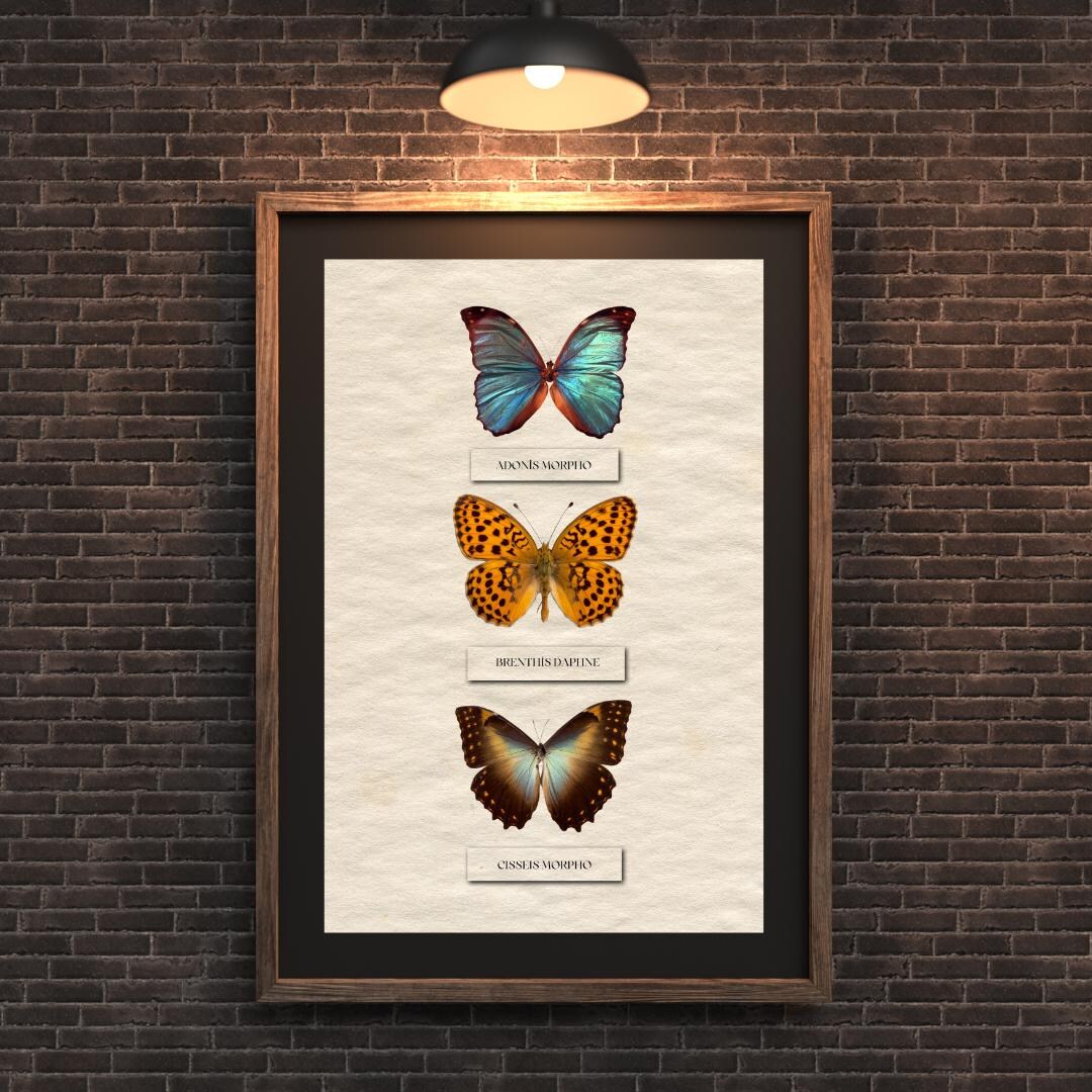 Vintage Butterfly Wall Art Set of 3, Natural History Print, Insect ...