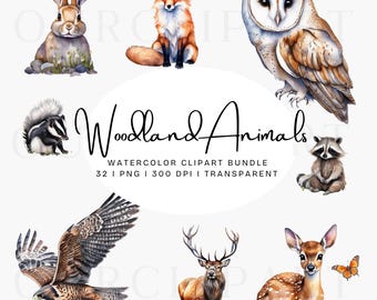 Watercolor Woodland Animals Clipart, Forest Animal PNG, Woodland Baby Shower Clipart, Nursery Animals Clip Art, Sublimation designs, Bundle
