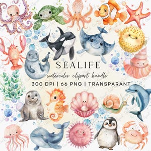 Cute Ocean Animals Clipart Bundle | Watercolor Sea Life PNG | Under the Sea Clipart | Sublimation Design | Junk Journal | DTF Transfer