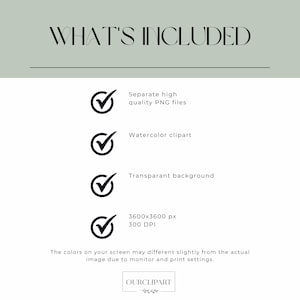 May include: A digital information graphic with the heading WHAT'S INCLUDED in black text on a sage green background. It lists four features with black checkmark icons: separate high quality PNG files, watercolor clipart, transparent background, and 3600x3600 px 300 DPI. A disclaimer about screen colors and the text OURCLIPART are at the bottom.