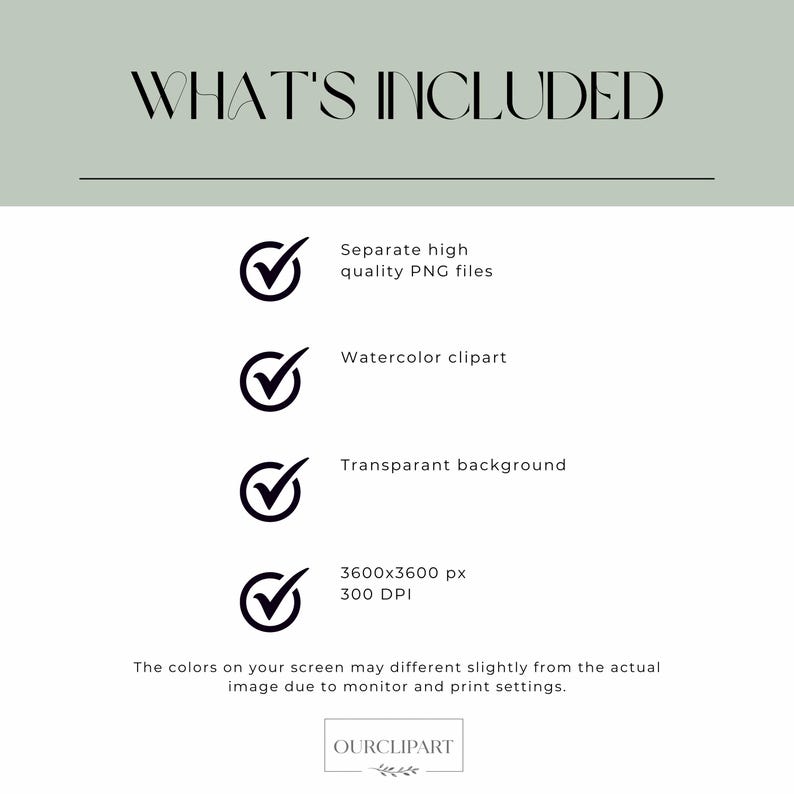 May include: A digital information graphic with the heading WHAT'S INCLUDED in black text on a sage green background. It lists four features with black checkmark icons: separate high quality PNG files, watercolor clipart, transparent background, and 3600x3600 px 300 DPI. A disclaimer about screen colors and the text OURCLIPART are at the bottom.
