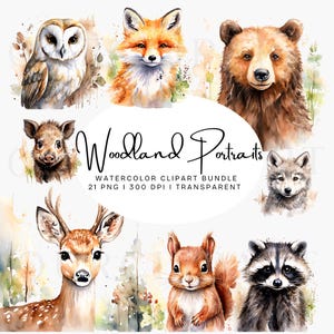 Può includere: Illustrazioni ad acquerello di animali del bosco, tra cui una volpe, un orso, un gufo, un cervo, un procione, uno scoiattolo, un cinghiale e un lupo. Le illustrazioni sono in uno stile fantasioso e sono perfette per aggiungere un tocco di natura ai tuoi progetti.