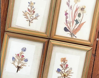 Vintage Pressed Flower Art Framed Under Glass SET OF 4