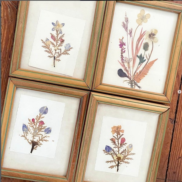 Vintage Pressed Flower Art Framed Under Glass SET OF 4