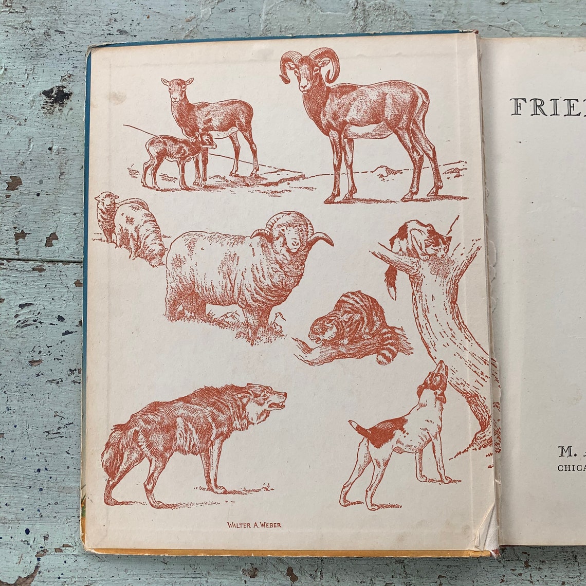 Vintage Animal Book Friendly Animals Stories 1940s Etsy