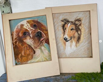 Vintage Dog Portrait Illustration Drawing 1940s Pastel Signed Chalk CHOICE Spaniel or Collie