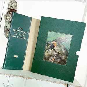 May include: A green hardcover book titled "The Wonders of Life on Earth" with the word "LIFE" in gold lettering on the spine. The book is closed and has a tan-colored dust jacket. The book is sitting on a light blue surface.
