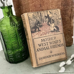 Antique Shabby Mother West Wind’s Animal Friends Thornton Burgess Illustrations Animal Book Children&#39;s Illustrated Pages 1912