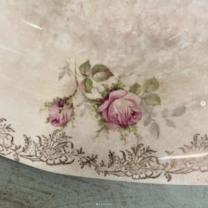 Vintage Homer Laughlin Oval Platter Serving Bowl Plate Flower Floral Pink Roses Gold Pattern Edge Staining Crazing