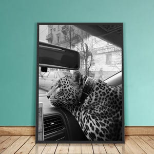 Cheetah in Car Print: Black and White Vintage Photography, 1950s Fashion