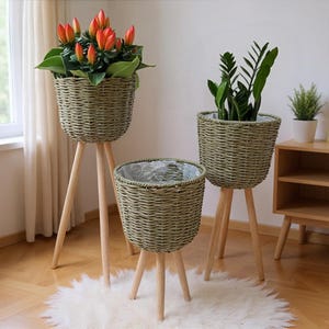 May include: Three woven plant stands with wooden legs. The stands hold plants with green foliage and orange flowers. The stands are different sizes and sit on a white rug and wooden floor.