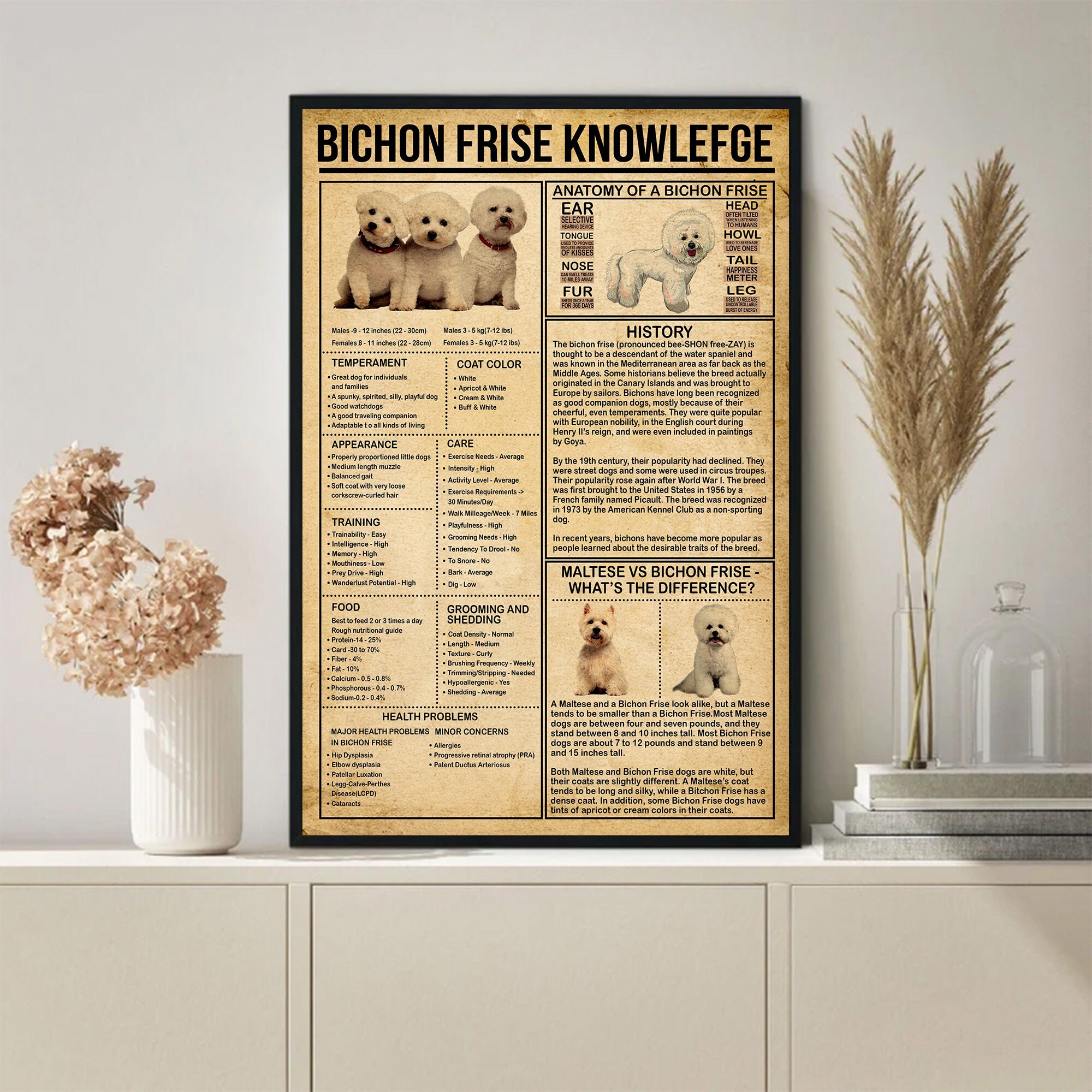 Bichon Frise Knowledge Poster No Frame 