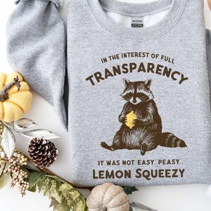 May include: Gray sweatshirt with a raccoon holding a lemon and the text "In the interest of full transparency it was not easy peasy lemon squeezy".