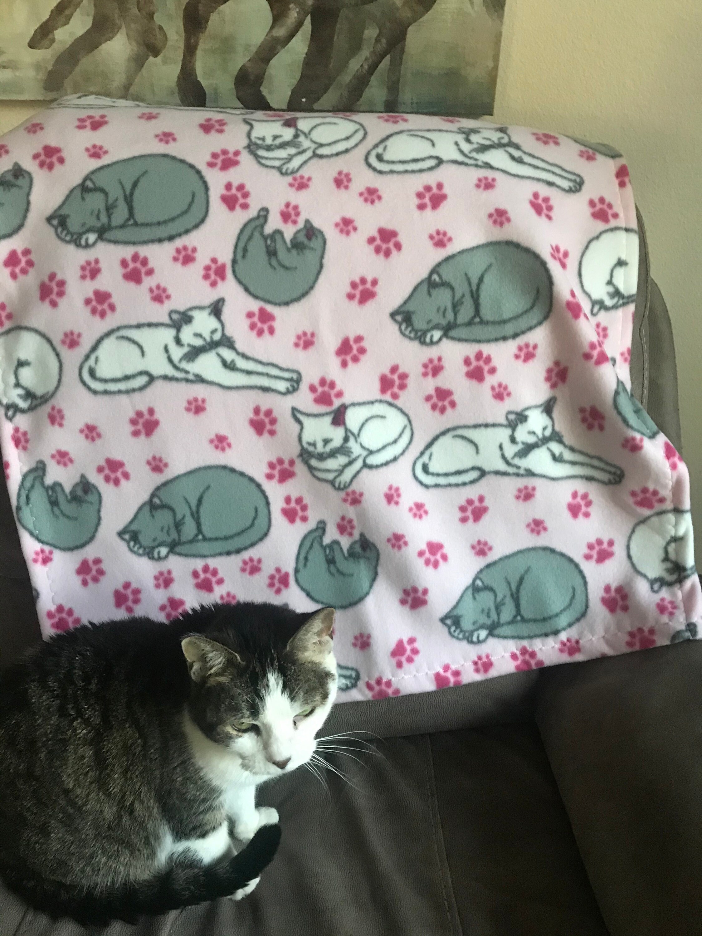 kitten fleece blanket