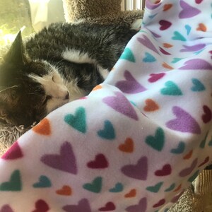 Fleece-Haustierdecke, für eine Katze, Kätzchen hund oder Welpe (klein/medium) 27x34