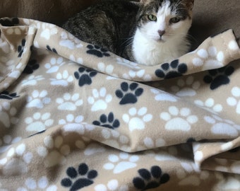 Könnte beinhalten: Eine getigerte und weiße Katze mit grünen Augen liegt auf einer braunen Fleece-Decke mit Pfotenabdruckmuster. Die Katze schaut direkt in die Kamera.