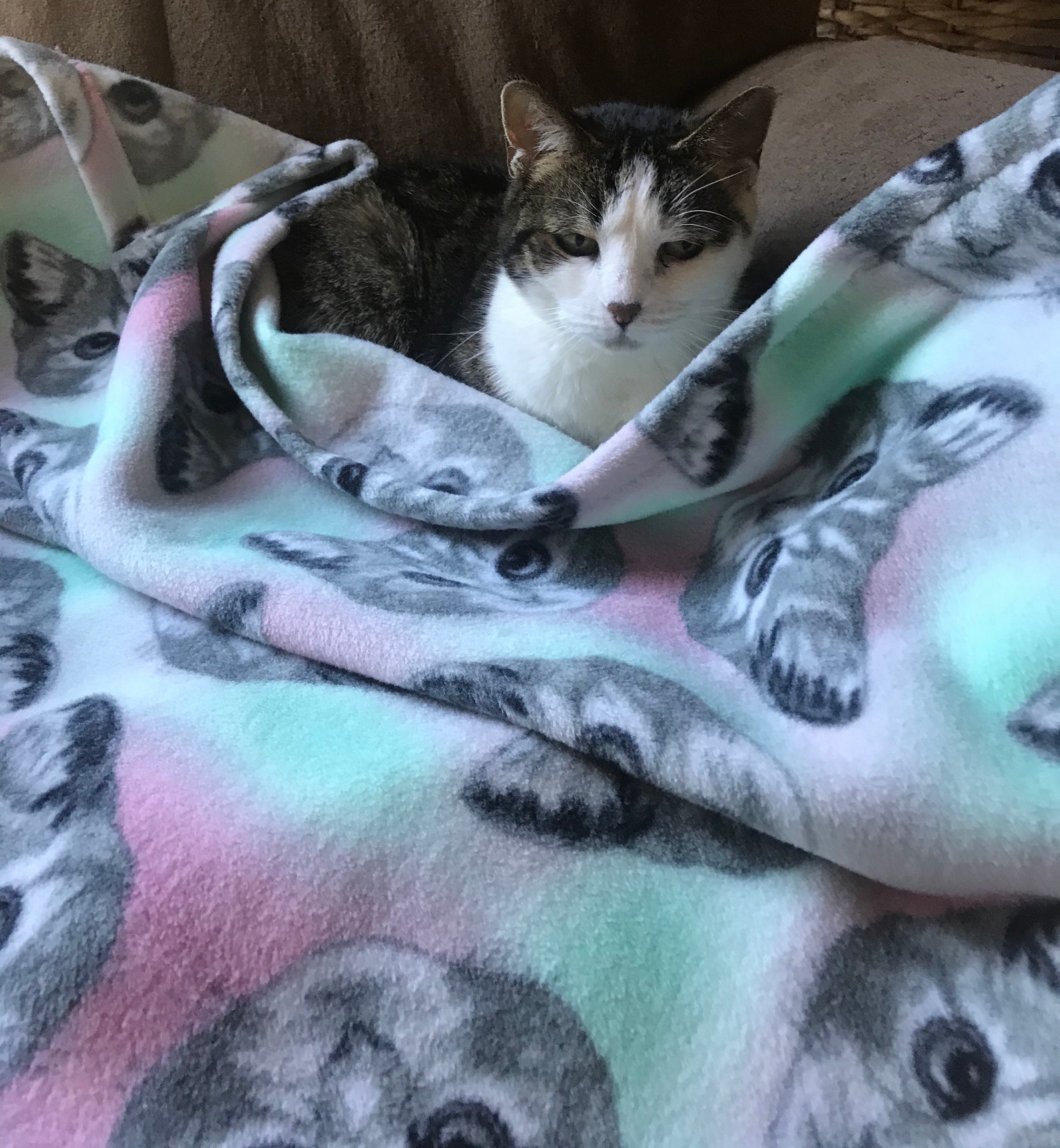 Fleece Cat/kitten Plush Fleece Blanket With Rainbow Colors Etsy