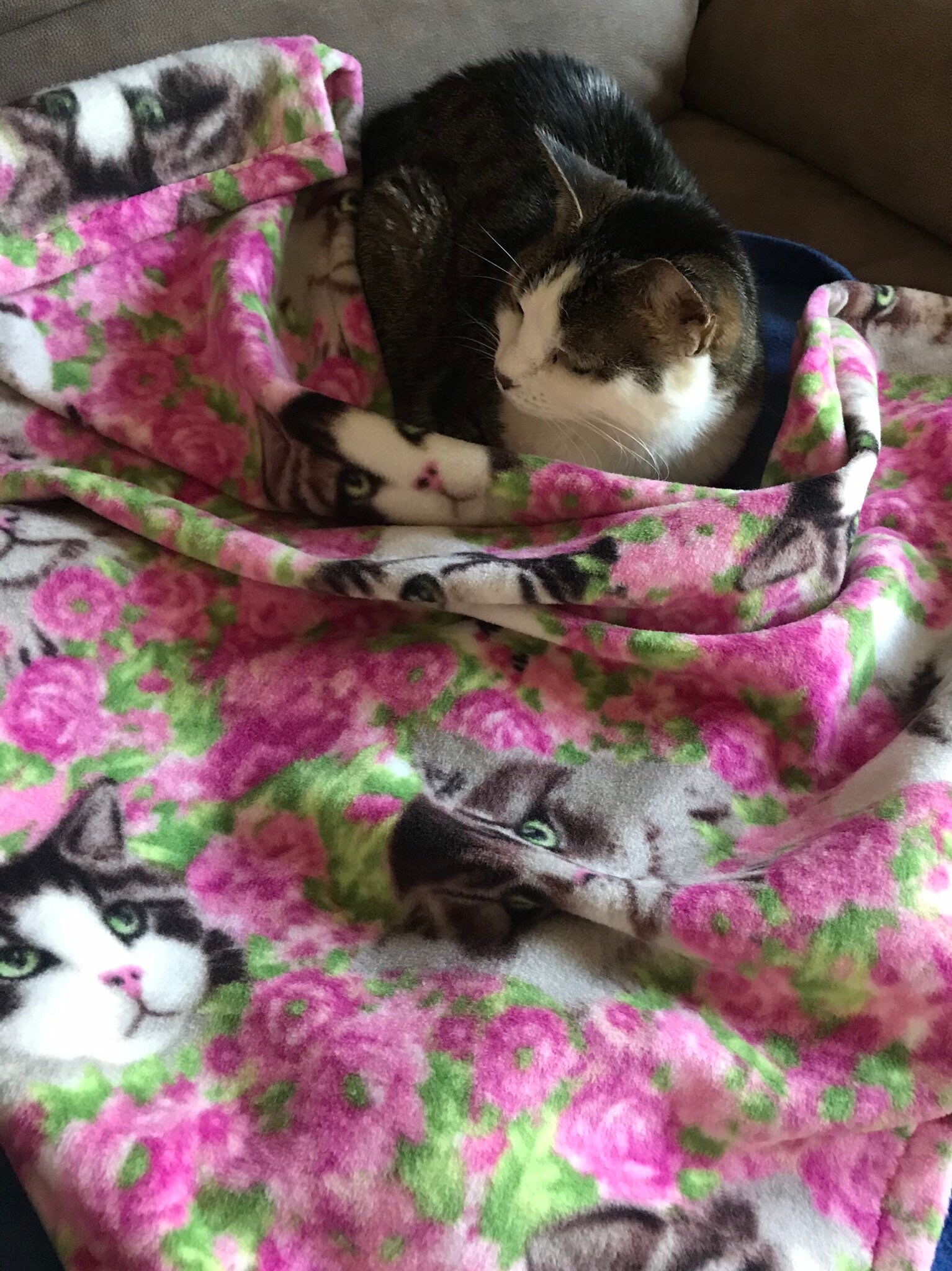 Fleece cat blanket pink flowers in the background with three Etsy