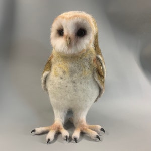 Barn owl sculpture, Toxidermy Faux birds,  Realistic Barn Owl,  Owl Home Decoration, Needle Felted Bidrd,  Gift For Birds Lovers, Felt art