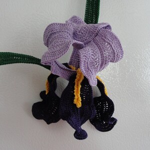 Puede incluir: Una flor de iris de ganchillo de color morado y azul con detalles amarillos y hojas verdes.