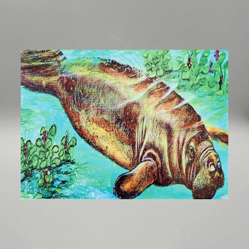 Manatee Tile Manatee Ceramic Tile - Etsy