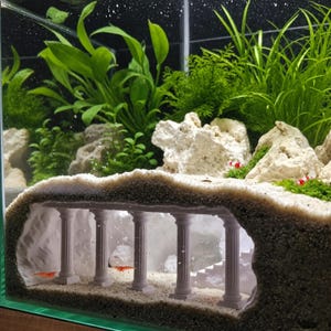 Puede incluir: Un acuario de cristal con sustrato de arena blanca y una estructura de cueva decorativa con cinco columnas verticales. Varias gambas pequeñas rojas y blancas son visibles dentro de la cueva y sobre la arena. Plantas acuáticas verdes y rocas blancas están dispuestas al fondo.