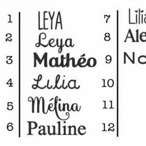 K&ouml;nnte beinhalten: Schwarz-wei&szlig; Grafik mit einer Liste von Namen. Die Namen sind Liam, Pauline, Julia, Leya, Math&eacute;o, Lilia, Alexandre und Nolann. Die Namen sind in verschiedenen Schriftarten dargestellt.