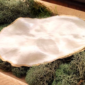 Hochzeits-Gastgeschenke - Handbemalte Muscheln