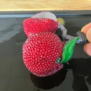 以下が含まれることがあります： 赤い質感のあるベリーのようなオブジェクトのクローズアップ。茎と緑の葉が付いています。オブジェクトはでこぼこの表面を持ち、暗い背景に配置されています。茎はグレーで、葉は鮮やかな緑色です。