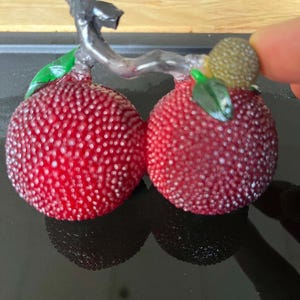 以下が含まれることがあります： 緑の葉と小さな緑色のテクスチャードフルーツが付いた、赤色のテクスチャードフルーツのペア。暗い灰色の茎に付いています。果物にはでこぼこの表面があり、黒い表面に反射しています。