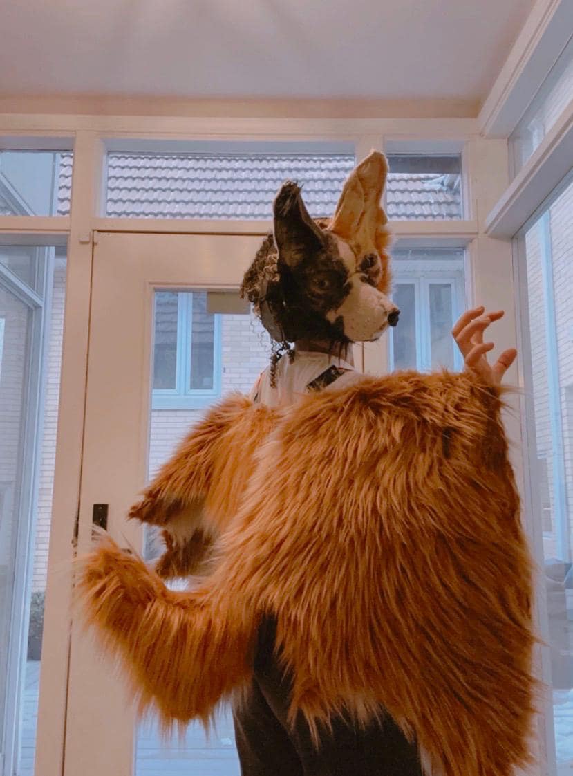 Handmade Fursuit Wings • Customizable Fursona Dragon or Bat Wings - Etsy