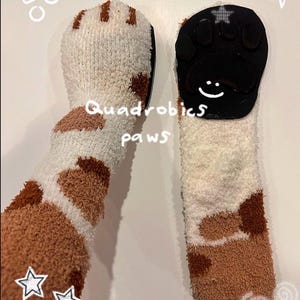 Quadrobics Paws |Therian Quad Paws image 1