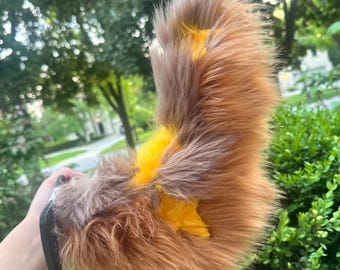 Star Puppy Bontail Cover (Small Version)