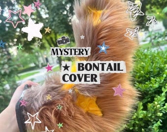 MYSTERY Bontail Cover