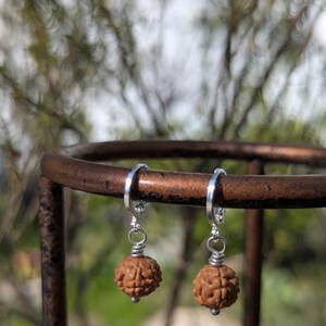 May include: A pair of silver hoop earrings with brown, textured, round beads. The earrings are hanging on a brown metal stand, with a blurred green and white background.
