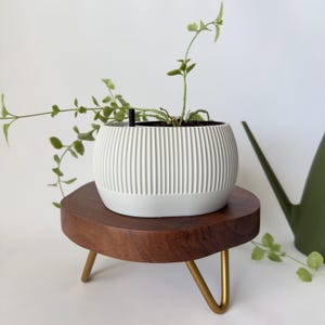 LUMAE | 3D Printed Self-Watering Planter: Modern Indoor Pot with Water Level Window