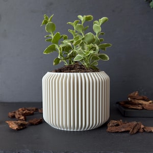 HAVAN | 3D Printed Plant Pot: Modern Minimalist Planter for Succulents