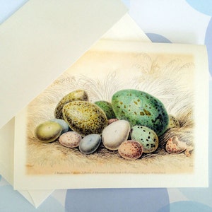 Easter Card, Easter Egg, Vintage Easter Card image 2