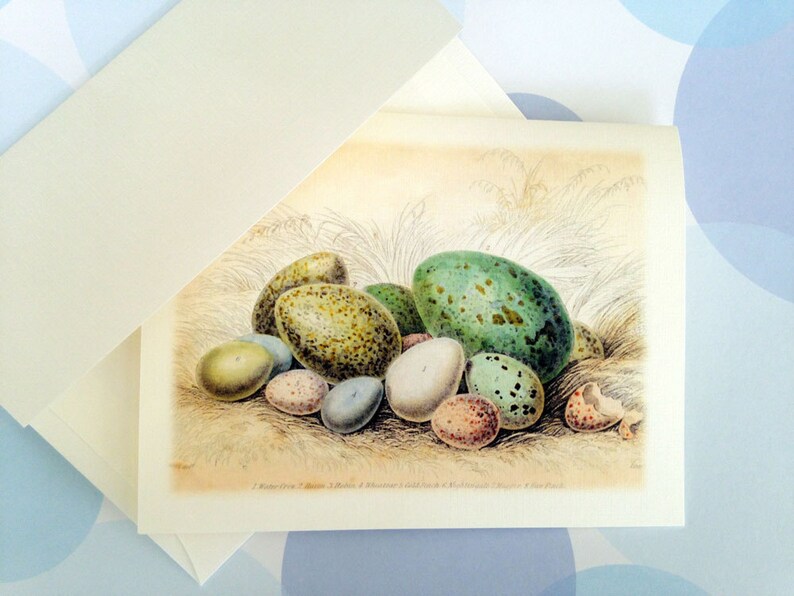 Easter Card, Easter Egg, Vintage Easter Card image 2