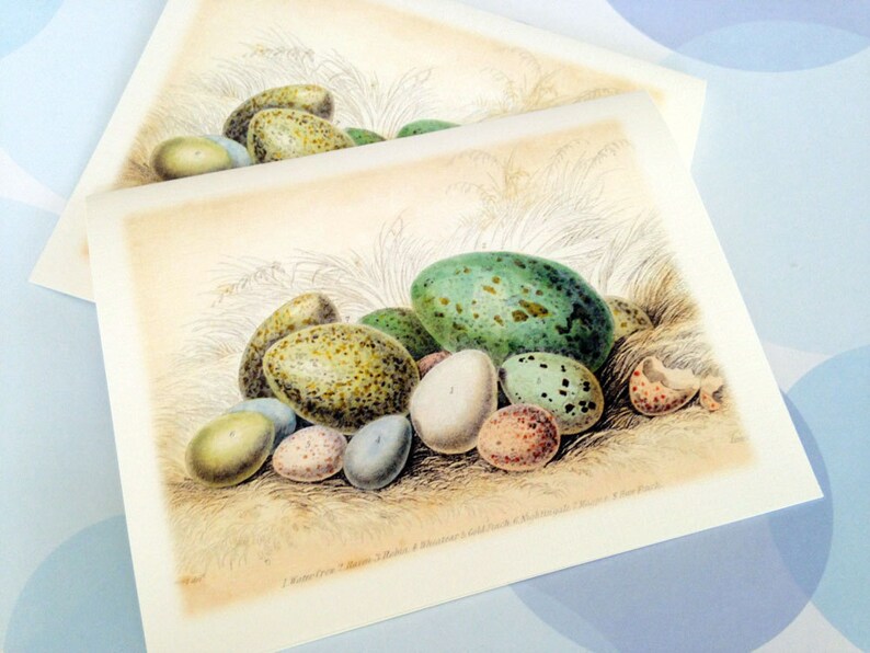 Easter Card, Easter Egg, Vintage Easter Card image 3