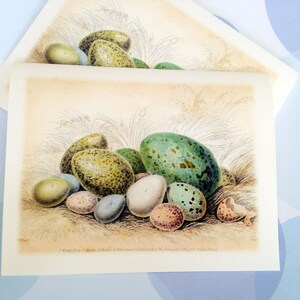 Easter Card, Easter Egg, Vintage Easter Card image 1