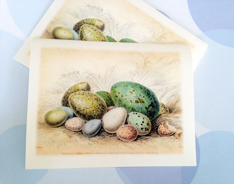 Easter Card, Easter Egg, Vintage Easter Card image 1