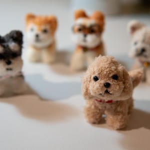 May include: A collection of five small, plush dog figurines in various breeds and colors. The dogs have detailed features, including small eyes and red collars. The foreground features a tan poodle with a red collar.